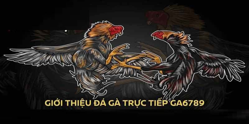 ca-cuoc-da-ga-tai-nha-cai-la-the-manh-thu-hut-dong-dao-nguoi-choi