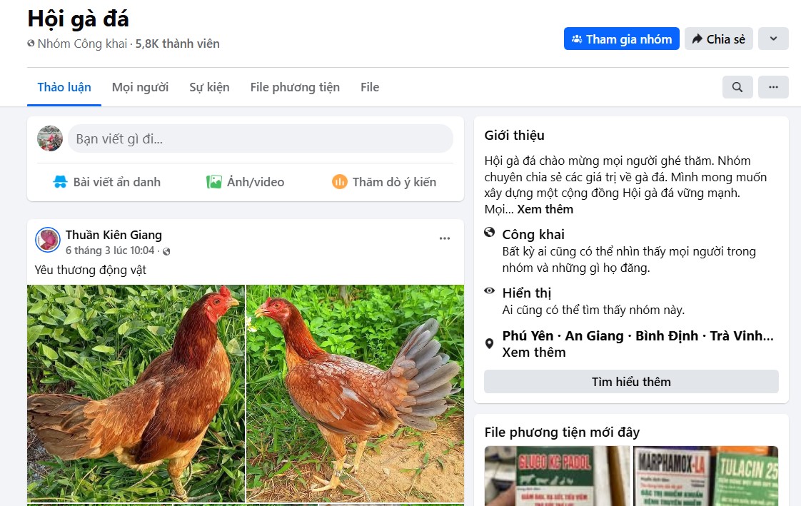 Các nhóm đá gà trên Facebook cập nhật thông tin nhanh chóng