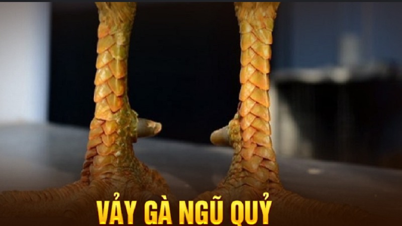 cach-nhan-biet-vay-ga-ngu-quy
