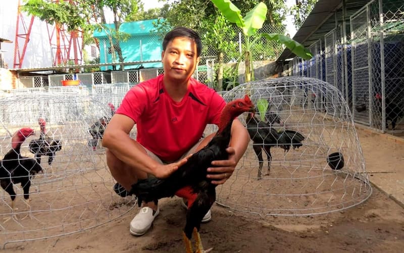 cong-tac-cham-soc-ga-truoc-tran-chien-rat-quan-trong