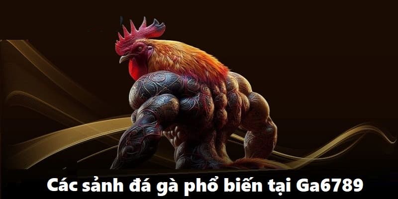 Nhiều hình thức cá cược đá gà hot tại nhà cái GA6789